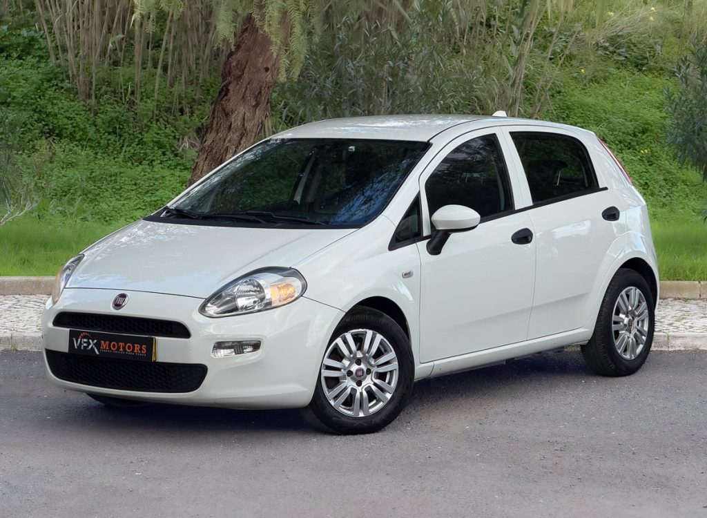 Fiat Punto-19