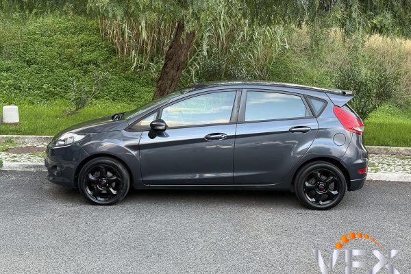 Ford Fiesta 1.4TDCi-10