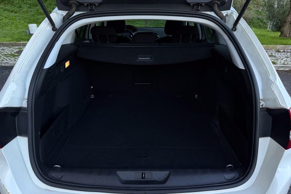 Peugeot 308 AD-95-IU-9