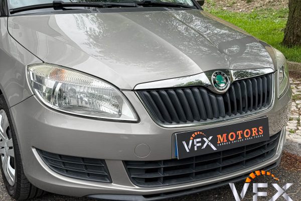 Skoda Fabia-5