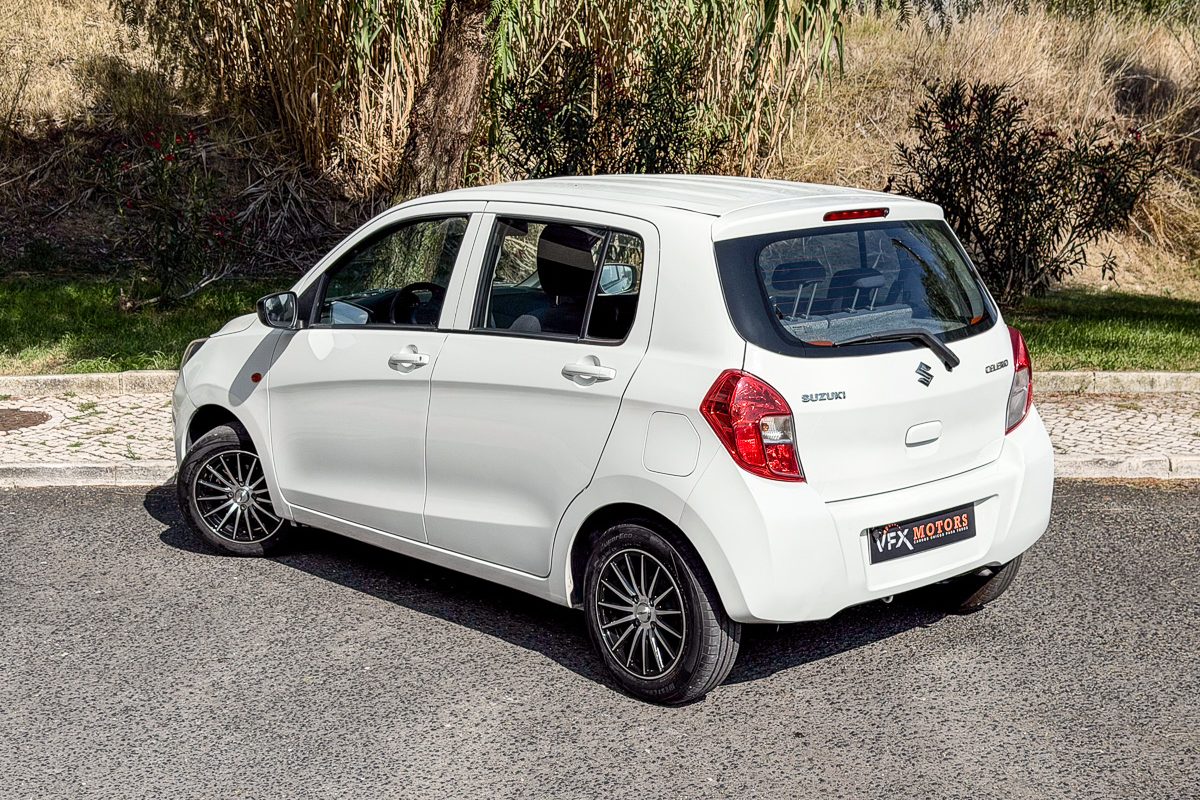 Suzuki_-2