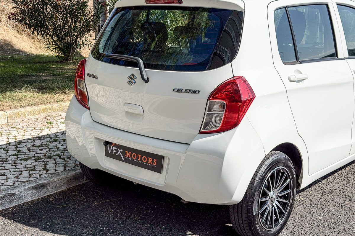 Suzuki_-4