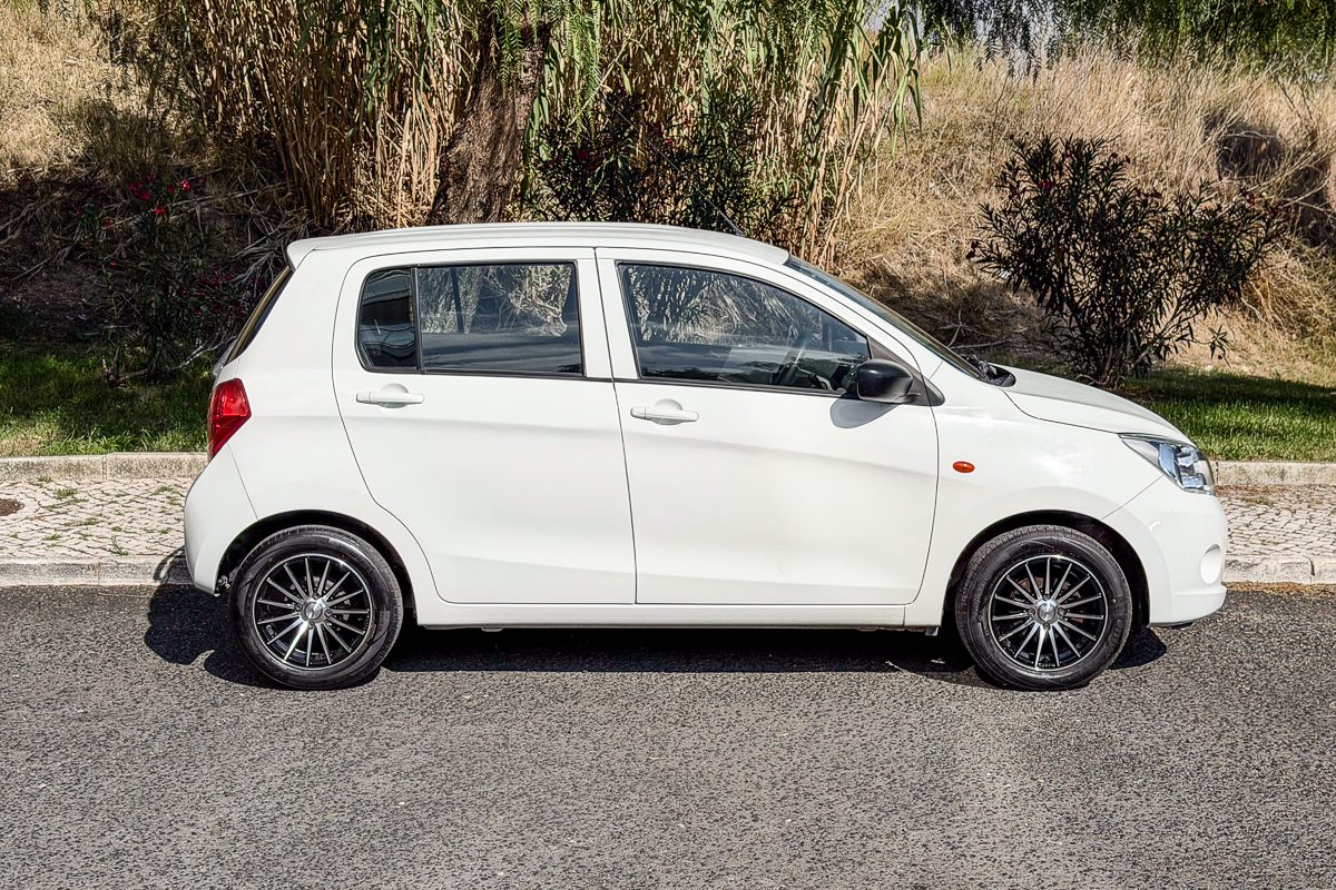 Suzuki_-5
